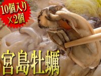 殻つきスチーム　宮島牡蠣　20個入り　生食でも大丈夫!