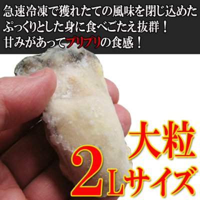 画像2: 殻つきスチーム　宮島牡蠣　20個入り　生食でも大丈夫!