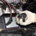 画像3: エンジンコンプレッションテスター◇ガソリンエンジン圧縮圧力の測定に (3)