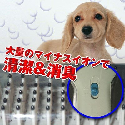 画像2: 【BtoB Market 特別価格！】愛犬に癒しのひとときを。。消臭効果も！■マイナスイオンペットブラシ■