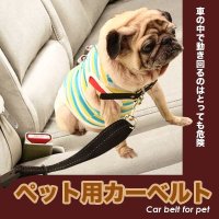 ★車の中でペットが暴れない♪安全♪そのままリードにもなる！1つで2役♪／ペット用カーベルト★