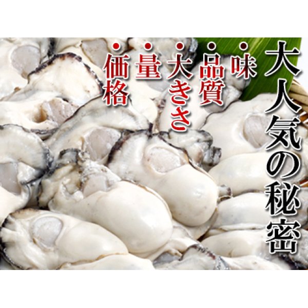 画像3: 殻つきスチーム　宮島牡蠣　20個入り　生食でも大丈夫! (3)