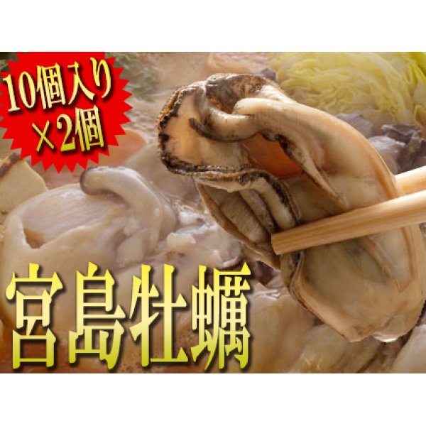 画像1: 殻つきスチーム　宮島牡蠣　20個入り　生食でも大丈夫! (1)
