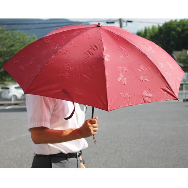 画像2: 苺時雨折りたたみ傘 (2)