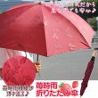 画像1: 苺時雨折りたたみ傘 (1)